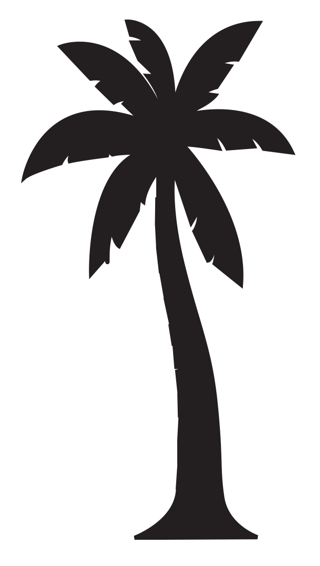 silloutte of tree